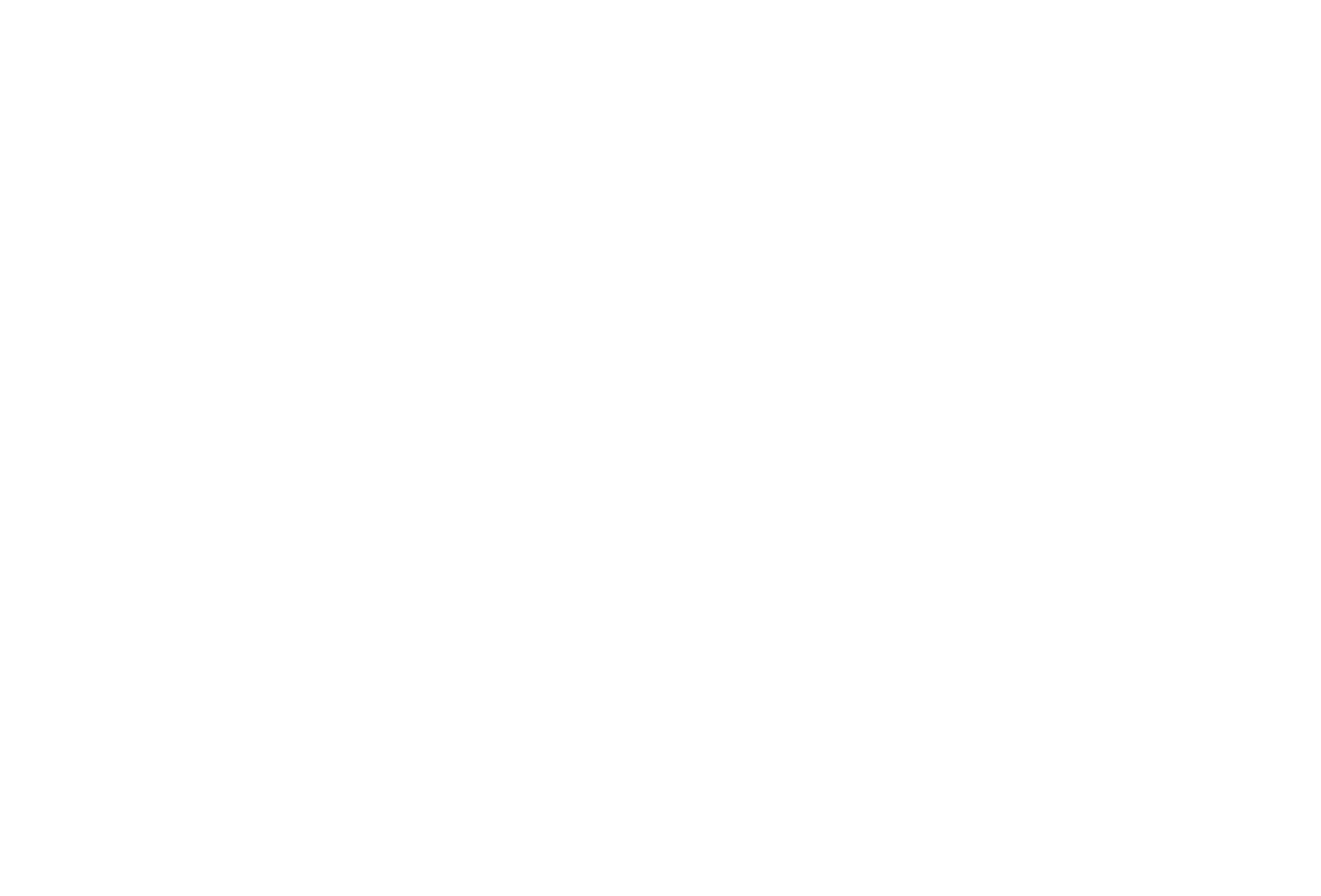 D-Orbit